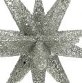 Floristik24 Stjerner med glimmer champagne 11,5 cm 4stk