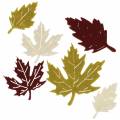 Floristik24 Spredte efterårsblade filt bordeaux / creme / grøn 72stk