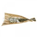 Floristik24 Acroclinium hvid, tørre planter, helichrysum, tørre blomster L20–40 cm 25g