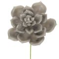 Floristik24 Kunstig sukkulent voks kunstig plante med tråd 8 cm 8 stk.