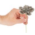 Kunstig sukkulent voks kunstig plante med tråd 8 cm 8 stk. | Floristik24.dk
