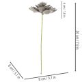 Kunstig sukkulent voks kunstig plante med tråd 8 cm 8 stk. | Floristik24.dk