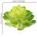 Kunstig sukkulent, grøn, til dekoration i skål eller vase, 10 cm, 4 stk. | Floristik24.dk