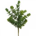 Floristik24 Sukkulent kunstig grøn plante til stick 25cm grøn 2stk