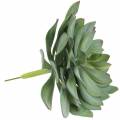Floristik24 Dekorativ saftig plante kunstig grøn Ø30cm H27cm