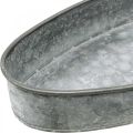Floristik24 Dekorativ skål metalfatning skål oval grå L33cm/31cm sæt med 2