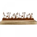 Floristik24 Træbakke foråreng, påskedekoration, dekorativ bakke ædel rust 35 × 15cm
