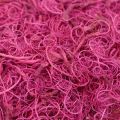 Floristik24 Naturfiber Tamarind Fiber håndværk forsyninger Pink Berry 500g