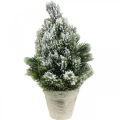 Floristik24 Mini juletræ i potte kunstigt sneet Ø18cm H32cm
