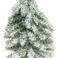 Floristik24 Dekorativt juletræ, vinterdekoration, grantræ med sne H19cm