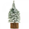Floristik24 Dekorativt juletræ, vinterdekoration, grantræ med sne H19cm