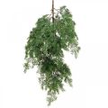 Floristik24 Kunstig cypress gren grøn til at hænge op fra 5 dekorative grene 75cm