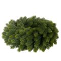 Kunstig grangrenkrans, grøn, rund, 50 cm | Floristik24.dk