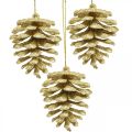 Floristik24 Juletræspynt deco kogler glitter guld H7cm 6stk