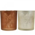 Floristik24 Glaslanterne, fyrfadsglas med bladmotiv, efterårsdekoration Ø8cm H9cm 2stk.