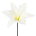 Floristik24 Kunstige hvide tigerliljeblomster til vaser og arrangementer, 29 cm bundt med 6 stk.