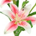 Floristik24 Tiger Lily Pink, Hvid 60cm