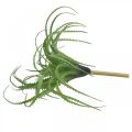 Aloe kunstig grøn kunstig plante til stick grøn plante 38Øcm