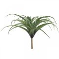 Floristik24 Deco Tillandsia kunstig kunstig plante til at holde grøn Ø45cm