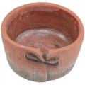 Floristik24 Beton urtepotte cachepot terracotta potte Ø18,5cm H10,5cm