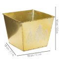 Metalplantekasse med glitrende grantræsmotiv, 18 cm | Floristik24.dk