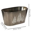 Oval plantekasse med præget grantræsdesign, 25 cm | Floristik24.dk