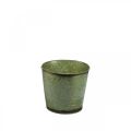 Floristik24 Plantekasse til efteråret, plantekasse med bladdekoration, metalspand grøn Ø14cm H12,5cm