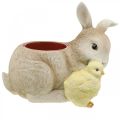Påskepynt til plantning, kanin og kylling, forår, potte H24cm L30cm