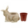 Påskepynt til plantning, kanin og kylling, forår, potte H24cm L30cm