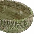 Floristik24 Plantekasse beton oval antik look grøn, brun 24×14×13cm