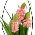 Floristik24 Druehyacint kunstig pink i glas 16cm