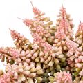 Floristik24 Vindrue hyacint kunstig hyacint pink 28cm 12 stk i bundt