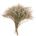 Floristik24 Tørrede blomster strand lavendel bundt Statice natur 1kg