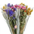 Floristik24 Buket tørrede blomster hav lavendel Phalaris korn 55cm