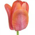 Floristik24 Tulipan kunstig blomst rød, orange Kunstig forårsblomst H67cm