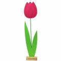 Floristik24 Gigantisk filt blomst tulipan grøn, pink 19,5 cm x 24 cm H88 cm butiksvindue dekoration