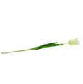 Floristik24 Kunstig hvid tulipan 70 cm