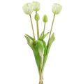 Floristik24 Tuliprem creme blomsterdekoration i rørt præg L43.5cm 5stk