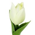 Floristik24 Forårsdekoration, kunstige tulipaner, silkeblomster, dekorative tulipaner grøn/creme 12 stk.