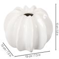 Græskarpyntvase, blank, efterårsdekoration til stuen, 19 cm | Floristik24.dk