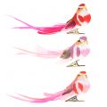 Floristik24 Fugl på klip pink, pink 15cm 12stk