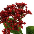 Floristik24 Berry gren røde viburnum bær 54cm 4stk
