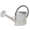 Floristik24 Vintage metal vandkande, sølvgrå, stilfuld havedekoration, blomstervase, L53cm H29cm