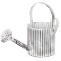 Floristik24 Vintage plantekasse Ø17cm, dekorativ vandkande, metalplantekasse shabby chic