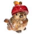 Floristik24 Dekorativ fuglefigur med rød æblehat, efterårsdekoration, 13 cm
