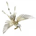 Floristik24 Kolibri, juletræspynt, dekorativ fugl, julepynt L20cm W20cm