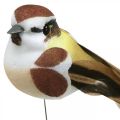 Floristik24 Forårsdekoration, fugle på tråd, kunstig fugl brun, hvid H3cm 12 stk.