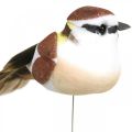 Floristik24 Forårsdekoration, fugle på tråd, kunstig fugl brun, hvid H3cm 12 stk.
