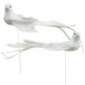 Floristik24 Hvide duer, bryllup, dekorative duer, fugle på tråd H6cm 6stk