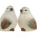Floristik24 Keramiske fugle, fjeder, dekorative fugle hvide, brune H7/7,5 cm 6 stk.